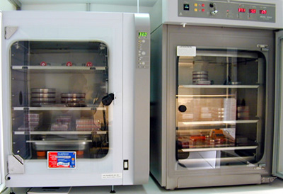 CO2 incubators jpg