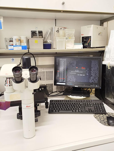 Inverted fluorescence microscope Leica DFC310 FX