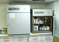Main Image #2