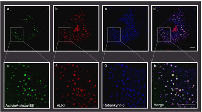 Advanced Light Microscopy Facility