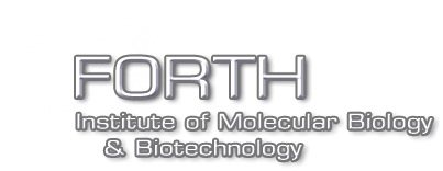 imbb logo for mobile