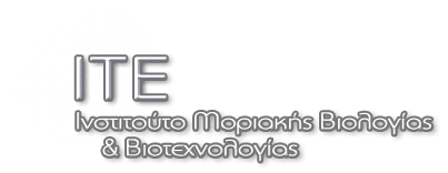 imbb mobile logo