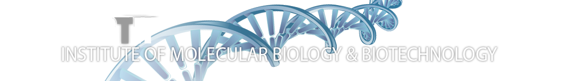 imbb logo