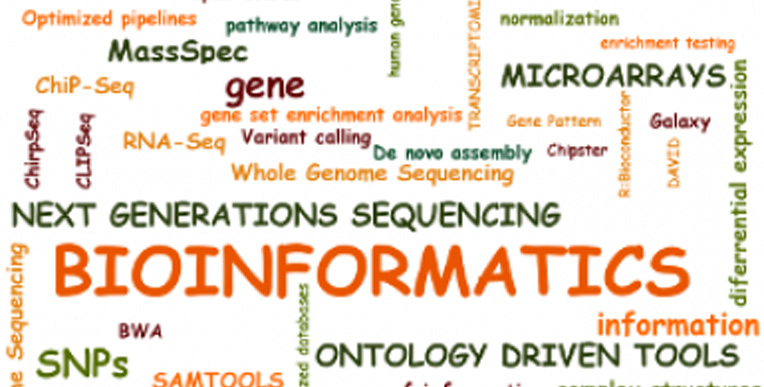 Bioinformatics