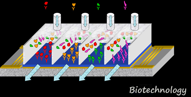 Biotechnology