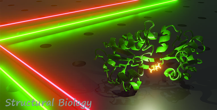 Structural-Biology