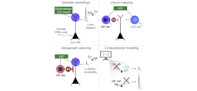 Discovering a disinhibitory microcircuit responsible for contextual information processing in the hippocampus