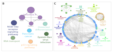 Combined genetic and transcriptome analysis of patients with SLE: distinct, targetable signatures for susceptibility and severity