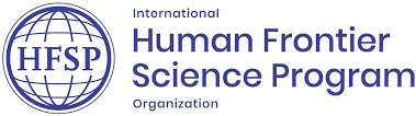 HFSP Logo