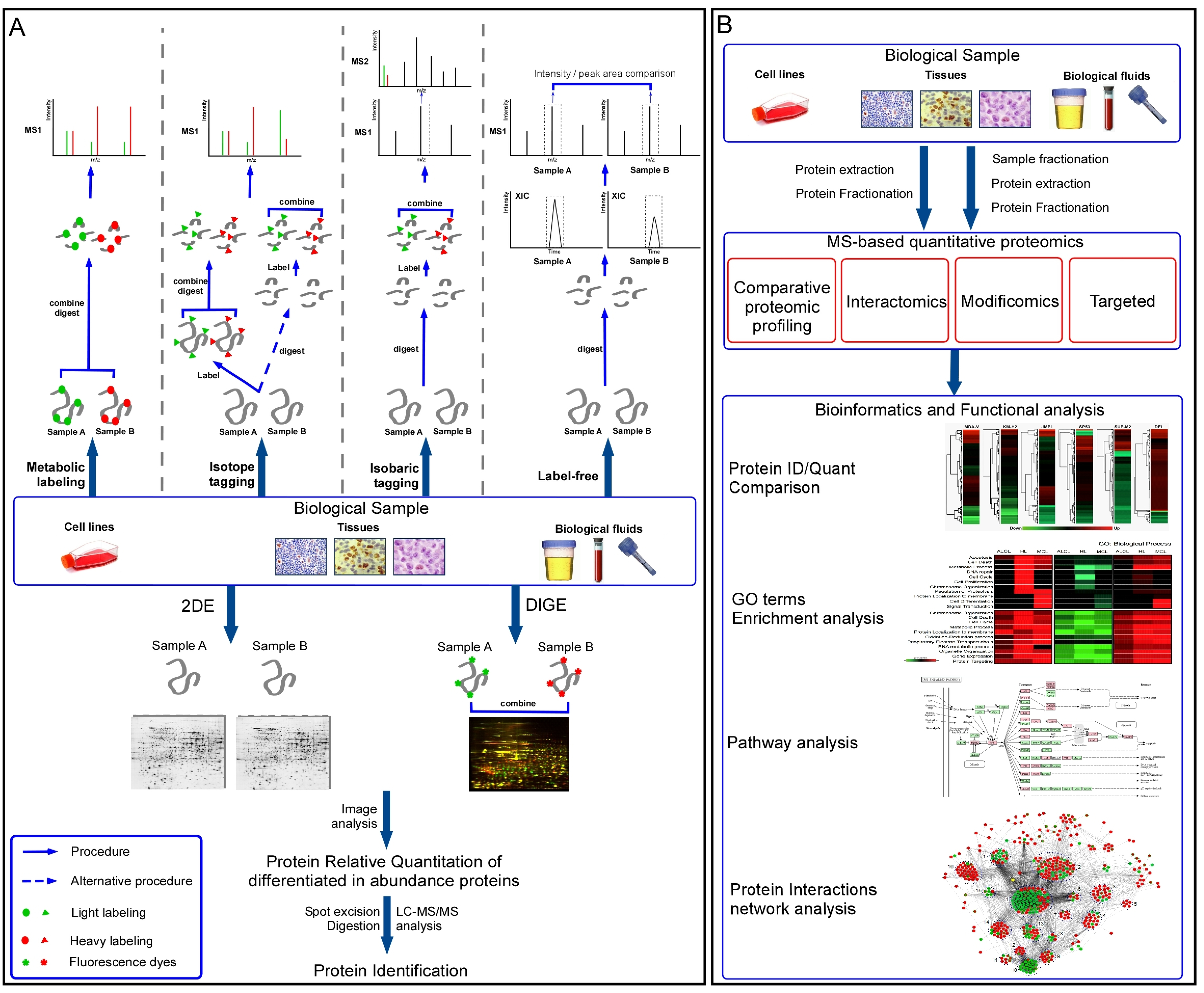 Profi - Quant_Proteomics