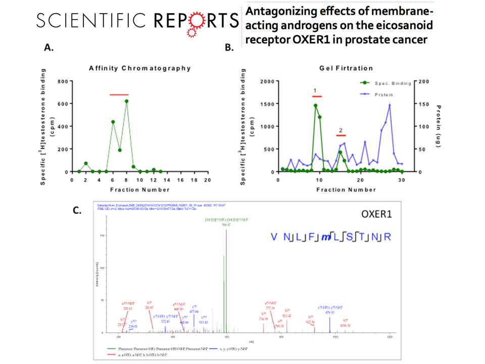 Profi - Scientific_Report_Oxer