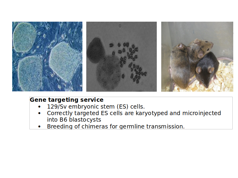 Slide 3
