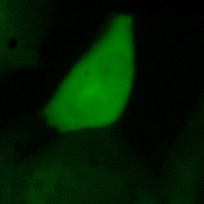 Slide 4