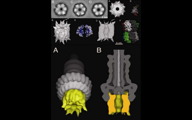 Slide 3