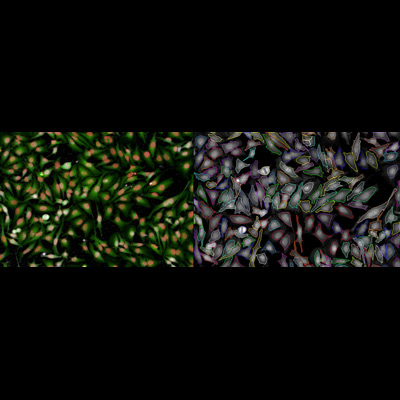Slide 5