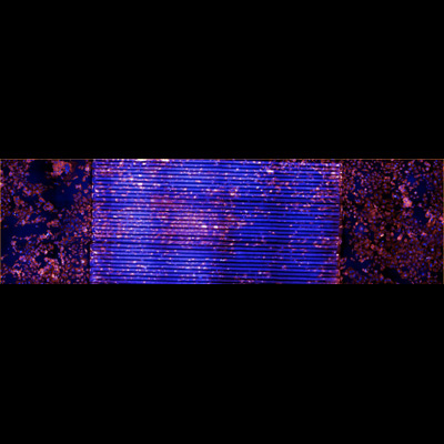 Slide 7