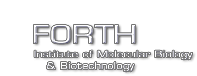 imbb logo for mobile