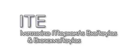imbb logo for mobile